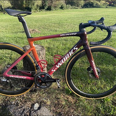 SPECIALIZED S WORKS